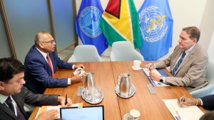 Health Minister Met with PAHO/WHO Director