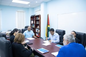 Ministry of Health held Meeting with Mount Sinai Health Systems