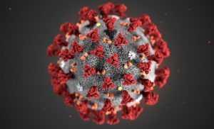 WHO Issues Advisory On New COVID-19 Variant NB.1.8.1 – Ministry of Health Urges Public Vigilance